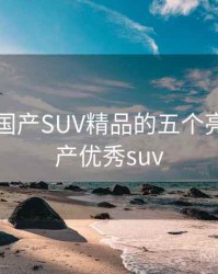 盘点：国产SUV精品的五个亮点，国产优秀suv