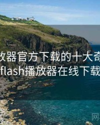 flash播放器官方下载的十大奇葩瞬间，flash播放器在线下载