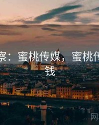 娱乐观察：蜜桃传媒，蜜桃传媒多少钱