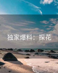 独家爆料：探花