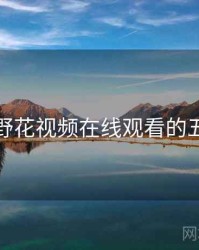 盘点：野花视频在线观看的五个亮点