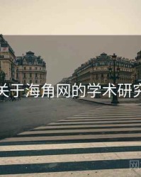 关于海角网的学术研究
