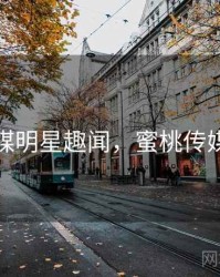 蜜桃传媒明星趣闻，蜜桃传媒多少钱