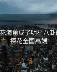 国产探花海角成了明星八卦的焦点，探花全国高端