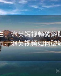 真相大白：泡芙短视频破解版背后细节，泡芙视频如何破解