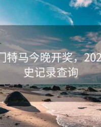 2023澳门特马今晚开奖，2025澳门历史记录查询
