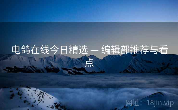 电鸽在线今日精选 — 编辑部推荐与看点